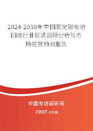 2024-2030年中国氧化银电池回收行业现状调研分析与市场前景预测报告