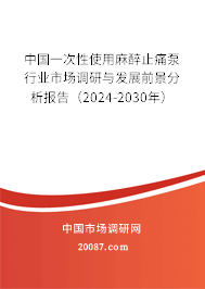 中国一次性使用麻醉止痛泵行业市场调研与发展前景分析报告（2024-2030年）