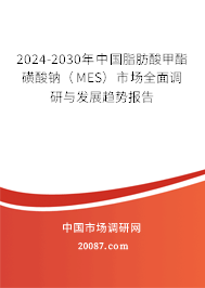 2024-2030年中国脂肪酸甲酯磺酸钠（MES）市场全面调研与发展趋势报告