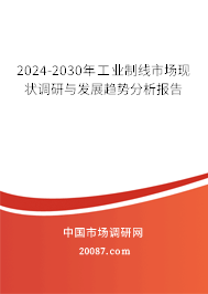 2024-2030年工业制线市场现状调研与发展趋势分析报告