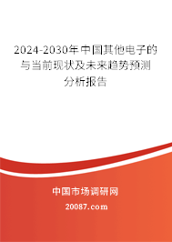 2024-2030年中国其他电子的与当前现状及未来趋势预测分析报告