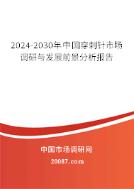 2024-2030年中国穿刺针市场调研与发展前景分析报告