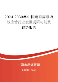 2024-2030年中国电磁屏蔽场效应管行业发展调研与前景趋势报告