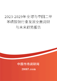 2023-2029年全球与中国二甲苯磺酸钠行业发展全面调研与未来趋势报告