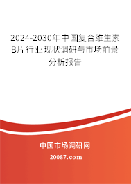 2024-2030年中国复合维生素B片行业现状调研与市场前景分析报告