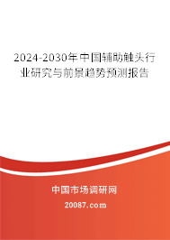 2024-2030年中国辅助触头行业研究与前景趋势预测报告