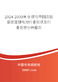 2024-2030年全球与中国高能量密度锂电池行业现状及行业前景分析报告