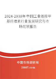 2024-2030年中国工业级羧甲基纤维素行业发展研究与市场前景报告