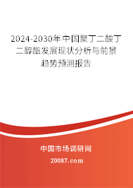 2024-2030年中国聚丁二酸丁二醇酯发展现状分析与前景趋势预测报告