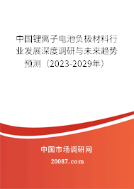 中国锂离子电池负极材料行业发展深度调研与未来趋势预测（2023-2029年）