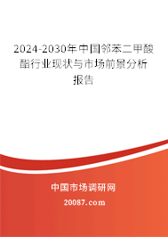 2024-2030年中国邻苯二甲酸酯行业现状与市场前景分析报告