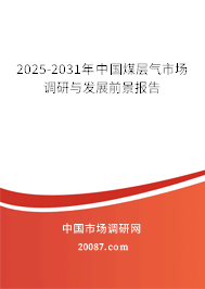 2025-2031年中国煤层气市场调研与发展前景报告 2025-2031年中国煤层气市场调研与发展前景报告