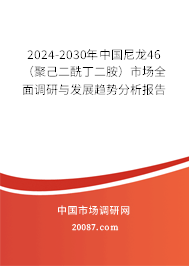 2024-2030年中国尼龙46（聚己二酰丁二胺）市场全面调研与发展趋势分析报告