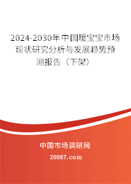 2024-2030年中国暖宝宝市场现状研究分析与发展趋势预测报告（下架）