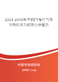 2024-2030年中国汽车打气泵市场现状与趋势分析报告