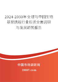 2024-2030年全球与中国生物基聚酰胺行业现状全面调研与发展趋势报告