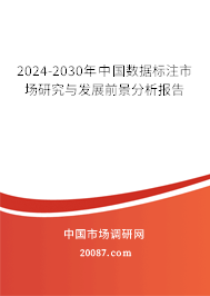 2024-2030年中国数据标注市场研究与发展前景分析报告