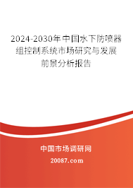 2024-2030年中国水下防喷器组控制系统市场研究与发展前景分析报告