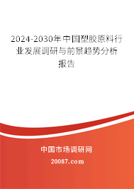 2024-2030年中国塑胶原料行业发展调研与前景趋势分析报告