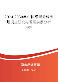 2024-2030年中国缩聚染料市场调查研究与发展前景分析报告