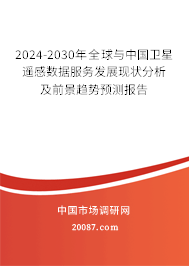 2024-2030年全球与中国卫星遥感数据服务发展现状分析及前景趋势预测报告