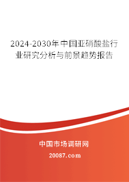 2024-2030年中国亚硝酸盐行业研究分析与前景趋势报告