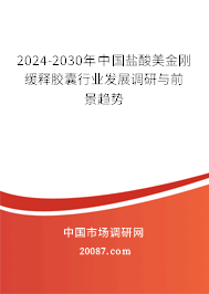 2024-2030年中国盐酸美金刚缓释胶囊行业发展调研与前景趋势