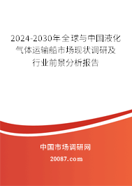 2024-2030年全球与中国液化气体运输船市场现状调研及行业前景分析报告