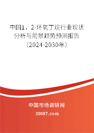 中国1，2-环氧丁烷行业现状分析与前景趋势预测报告（2024-2030年）