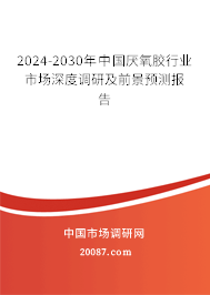 2024-2030年中国厌氧胶行业市场深度调研及前景预测报告