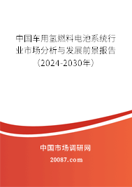 中国车用氢燃料电池系统行业市场分析与发展前景报告（2024-2030年）