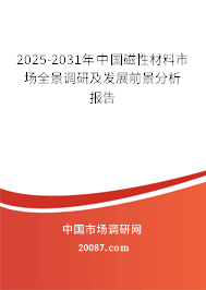 2025-2031年中国磁性材料市场全景调研及发展前景分析报告 2025-2031年中国磁性材料市场全景调研及发展前景分析报告