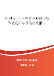 2024-2030年中国大数据市场深度调研与发展趋势报告