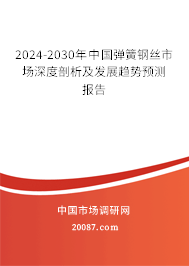 2024-2030年中国弹簧钢丝市场深度剖析及发展趋势预测报告