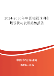 2024-2030年中国锻钢球阀市场现状与发展趋势报告