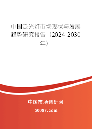 中国泛光灯市场现状与发展趋势研究报告（2024-2030年）