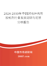 2024-2030年中国风电叶片用胶粘剂行业发展调研与前景分析报告