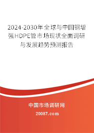 2024-2030年全球与中国钢增强HDPE管市场现状全面调研与发展趋势预测报告