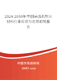 2024-2030年中国尖晶石耐火材料行业现状与前景趋势报告