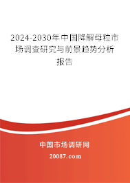 2024-2030年中国降解母粒市场调查研究与前景趋势分析报告