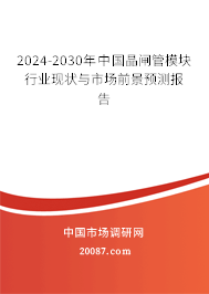 2024-2030年中国晶闸管模块行业现状与市场前景预测报告