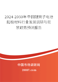 2024-2030年中国锂离子电池阳极材料行业发展调研与前景趋势预测报告