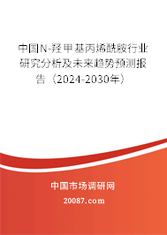 中国N-羟甲基丙烯酰胺行业研究分析及未来趋势预测报告（2024-2030年）