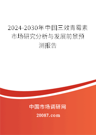 2024-2030年中国三效青霉素市场研究分析与发展前景预测报告