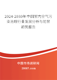 2024-2030年中国室内空气污染治理行业发展分析与前景趋势报告