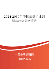 2024-2030年中国酸酐行业调研与趋势分析报告