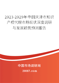 2023-2029年中国天津市知识产权代理市场现状深度调研与发展趋势预测报告