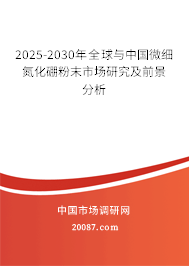 2025-2030年全球与中国微细氮化硼粉末市场研究及前景分析 2025-2030年全球与中国微细氮化硼粉末市场研究及前景分析