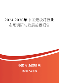 2024-2030年中国无极灯行业市场调研与发展前景报告