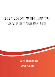 2024-2030年中国小卫星市场深度调研与发展趋势报告